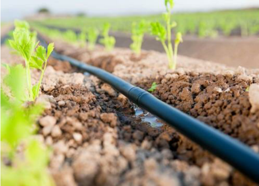 What is drip irrigation system and where to install it?